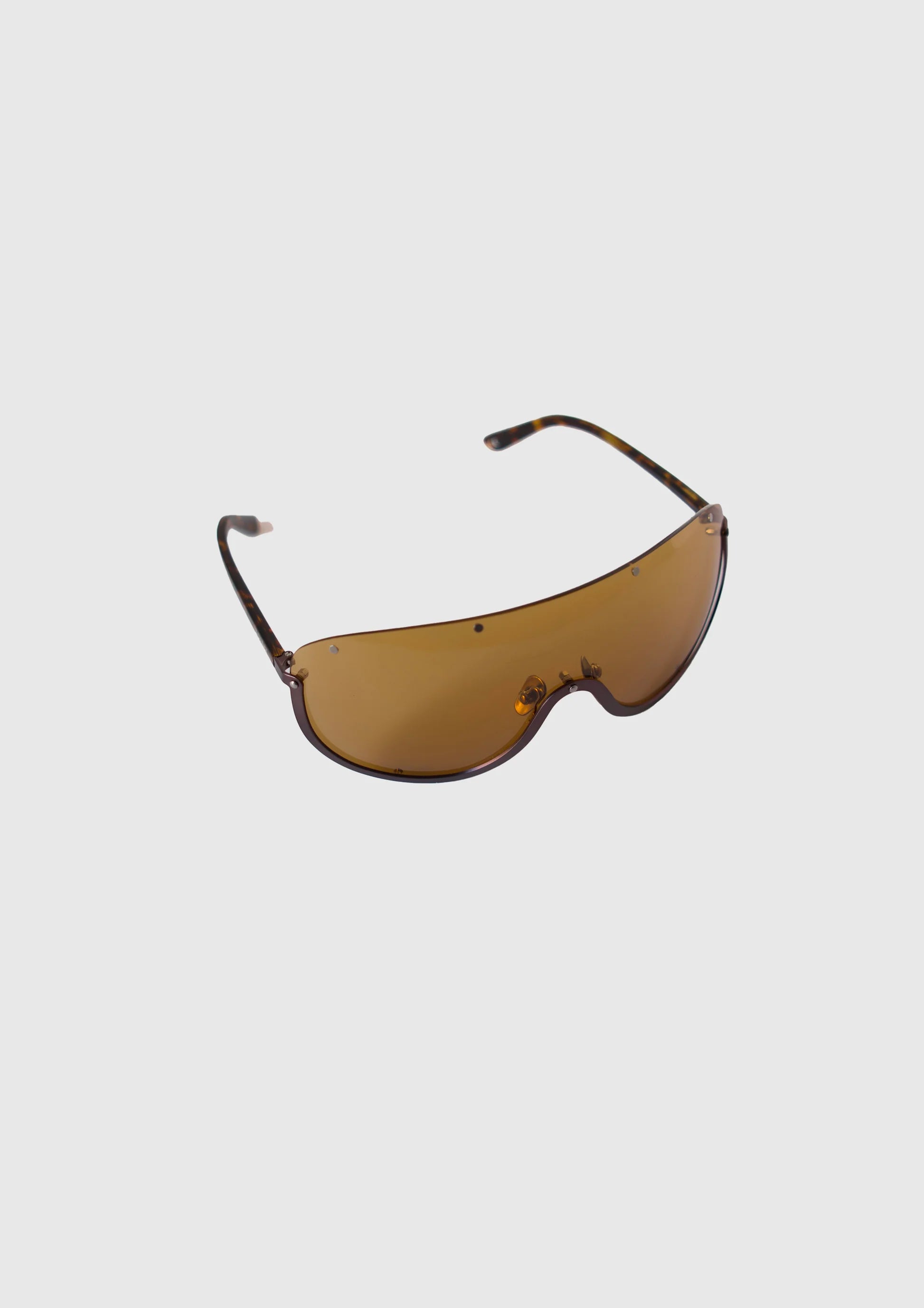 Turtle Goggles