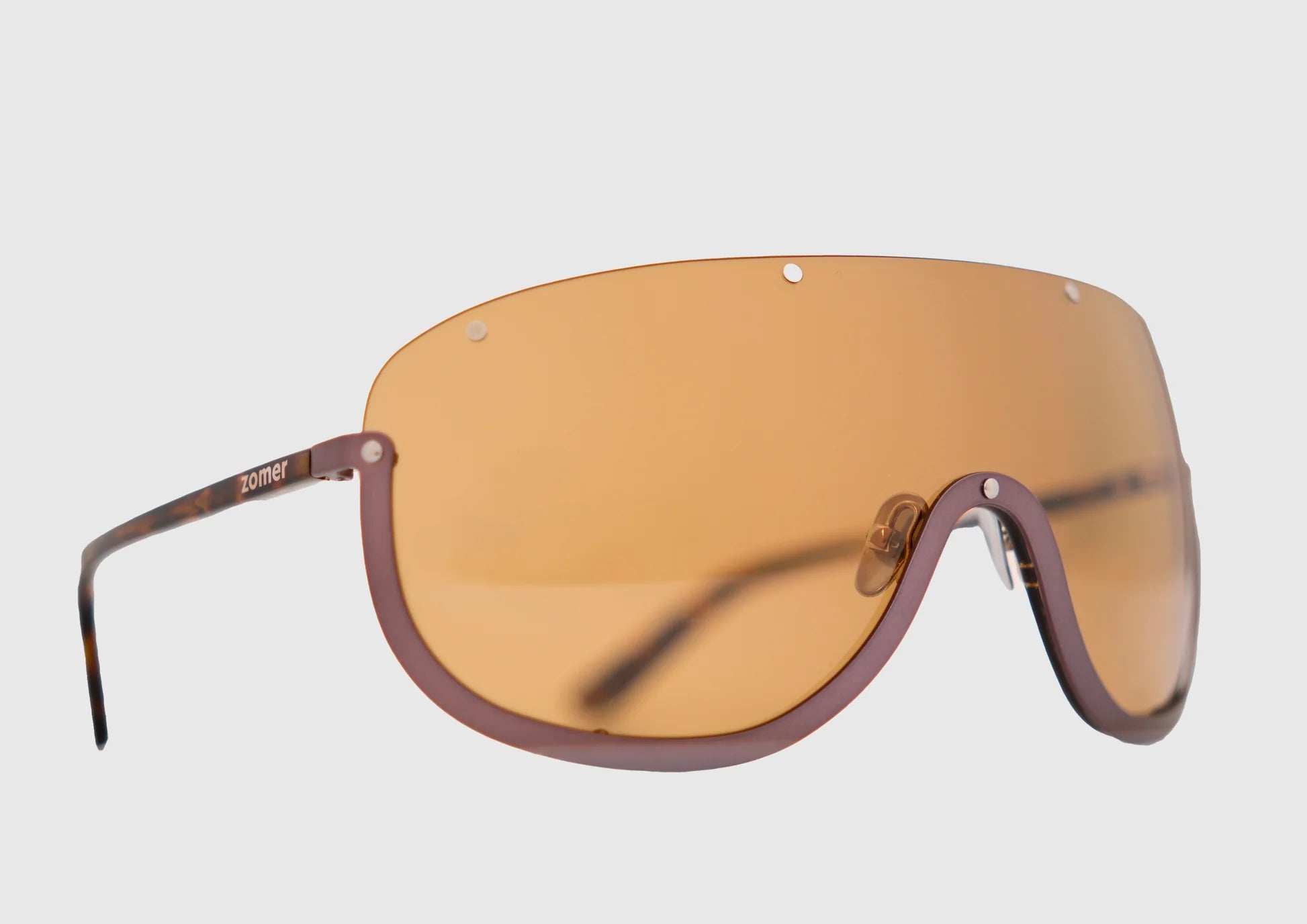 Turtle Goggles