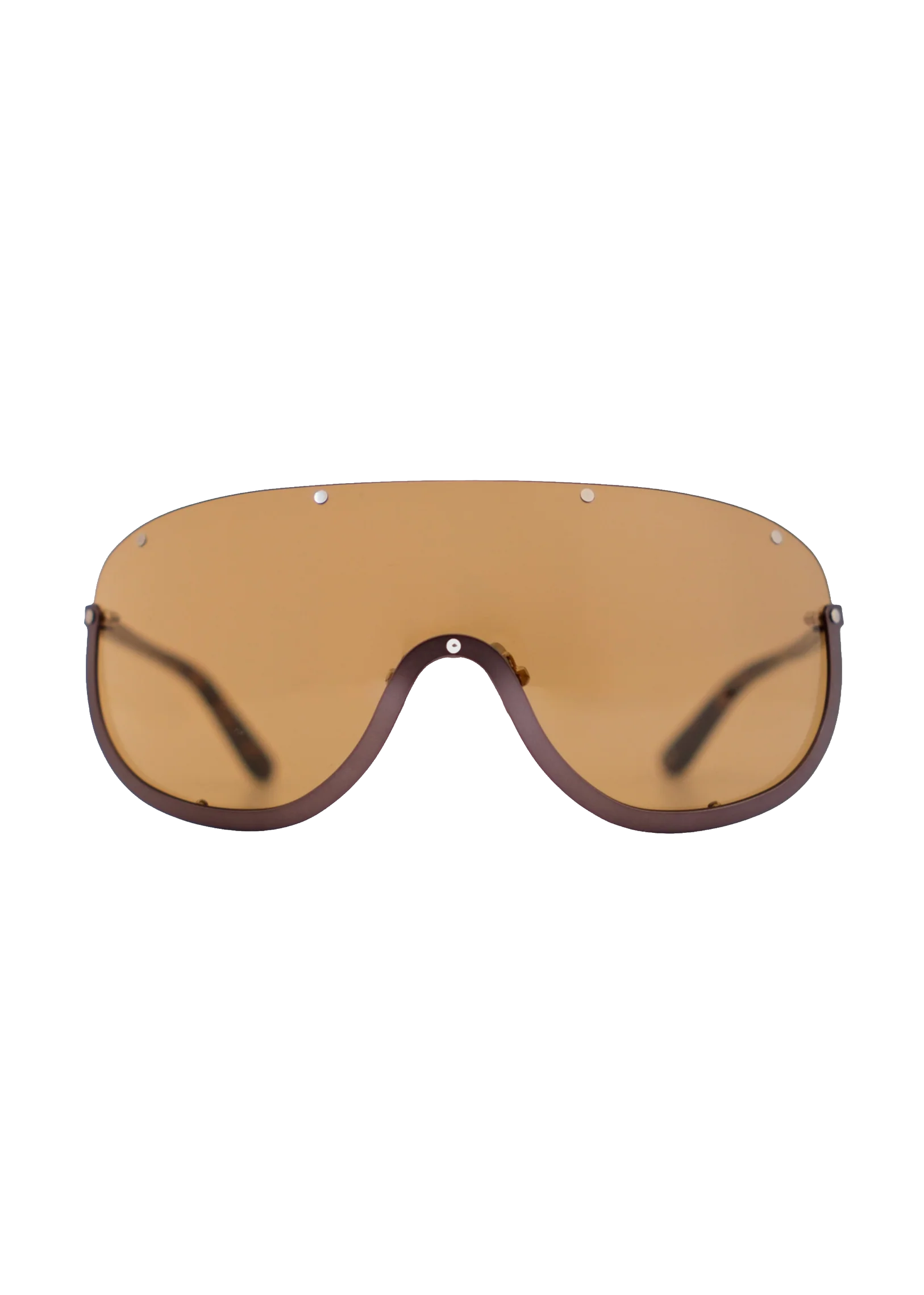 Turtle Goggles