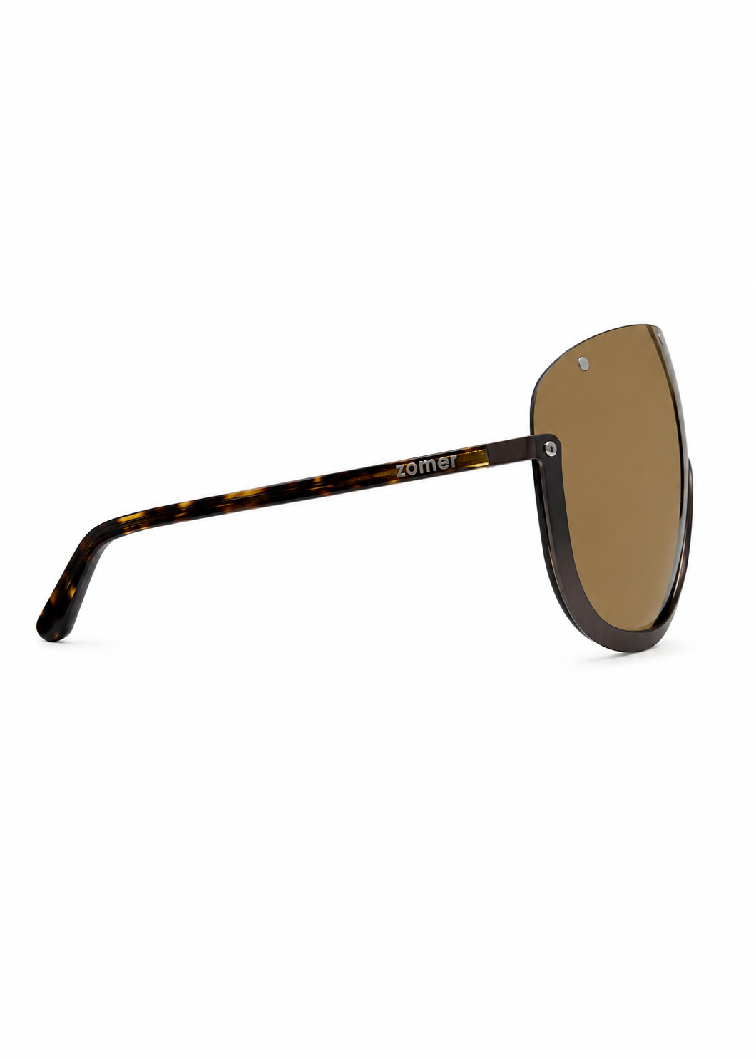 Turtle Goggles