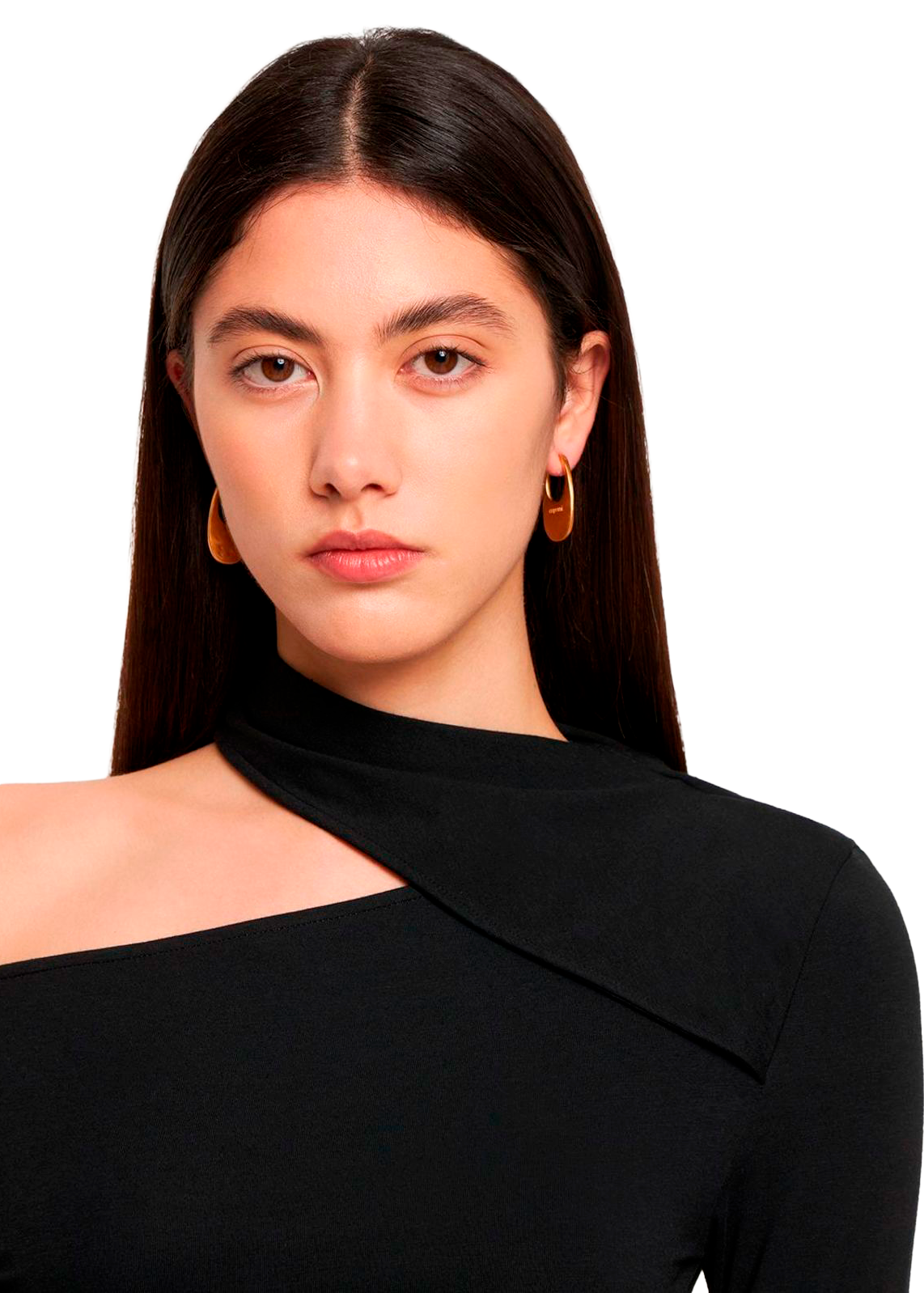Small Swipe Earrings Gold